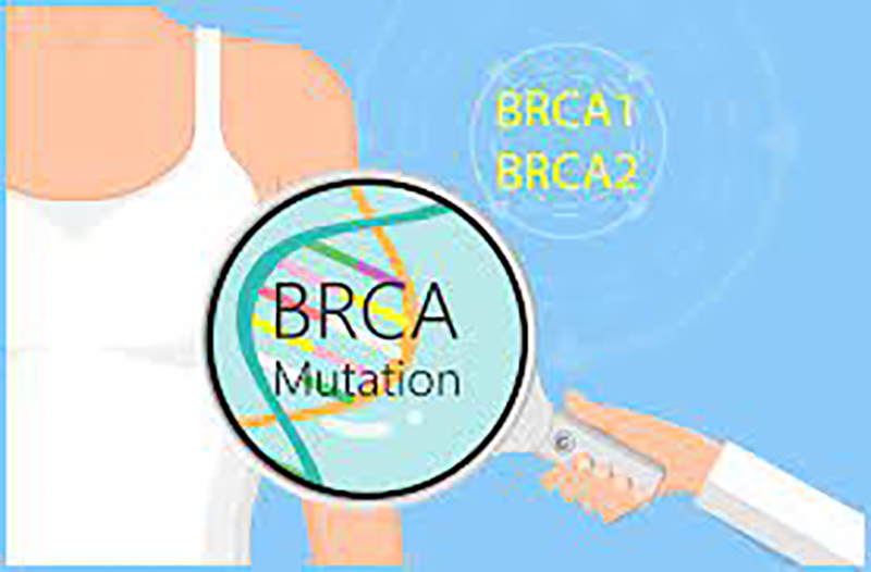 BRCA1 and BRCA2 Mutations: Understanding the Genetic Link to Cancer Risk