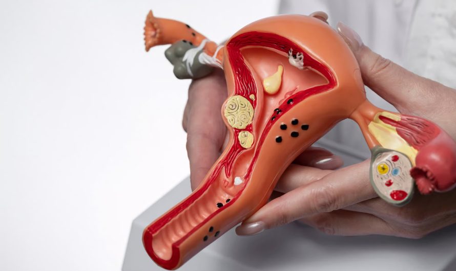 Vaginoplasty – Expertise You Can Trust