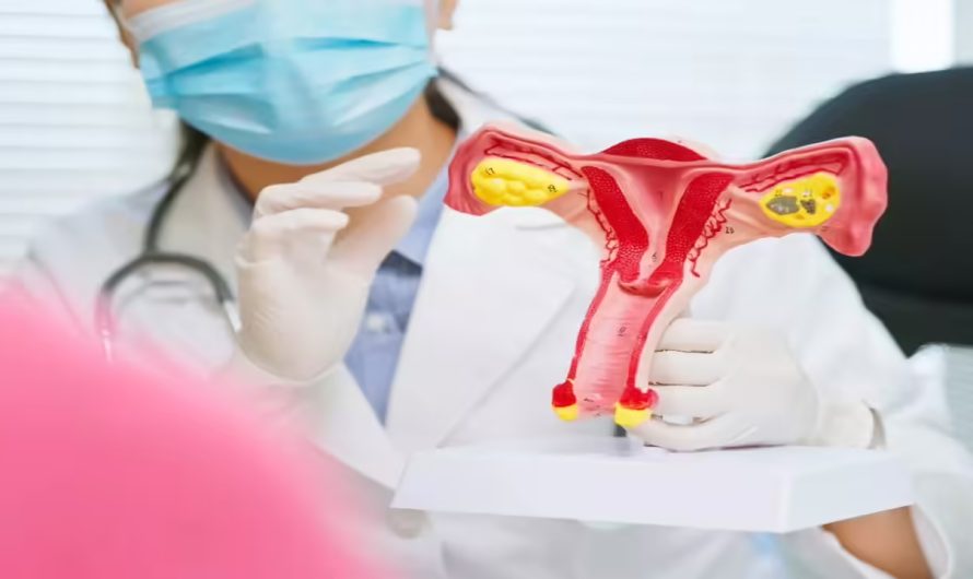 Understanding Uterus Didelphys: Expert Insights from Dr. Amit Tandon, Renowned Gynecologist
