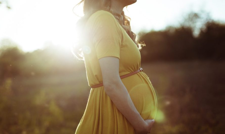 In Summer , Pregnancy Safety: Expert Tips for Expecting Mothers